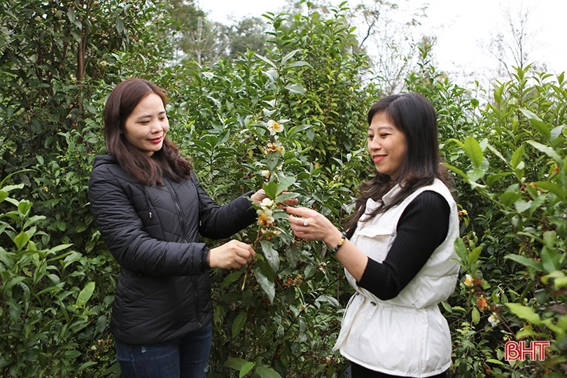 Sẽ xây dựng tour/tuyến kết nối du khách gắn với sản phẩm OCOP Hà Tĩnh