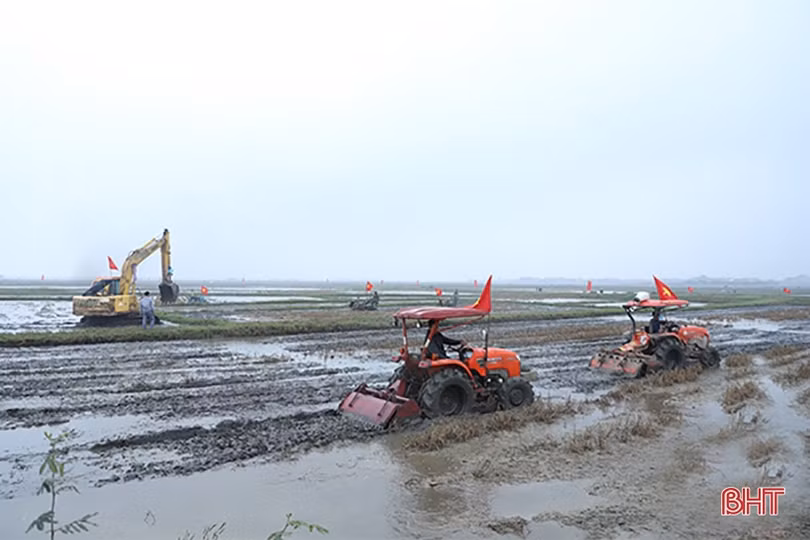 Tích tụ ruộng đất, nông dân TP Hà Tĩnh đầu tư phát triển nông nghiệp đô thị