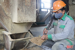 Vietcombank Hà Tĩnh tăng tốc giải ngân vốn phục vụ sản xuất - kinh doanh