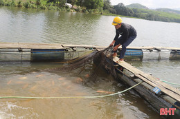 Người dân, doanh nghiệp đề nghị hỗ trợ tín dụng khôi phục sản xuất sau bão