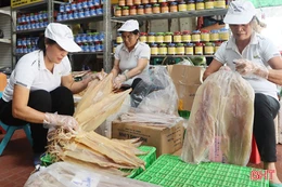 Cơ sở OCOP Hà Tĩnh tăng tốc sản xuất chuẩn bị nguồn hàng dịp cuối năm