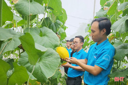 50 tỷ đồng cho đoàn viên, thanh niên Hà Tĩnh vay vốn khởi nghiệp, lập nghiệp