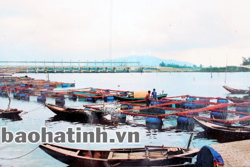 Hệ thống lồng bè nuôi cá chẽm của người dân thôn Sông Hải (Thạch Sơn - Thạch Hà).