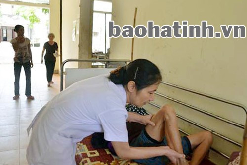 Nhưng tất cả đều được chăm sóc chu đáo