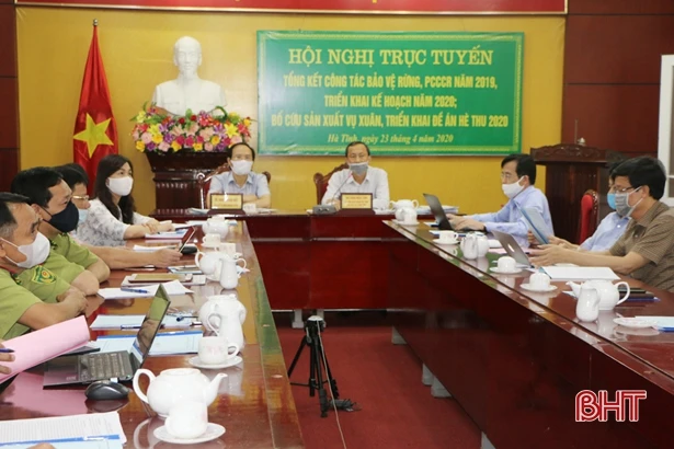 Lên kịch bản bảo vệ rừng, sản xuất hè thu ứng phó với nắng nóng, hạn hán