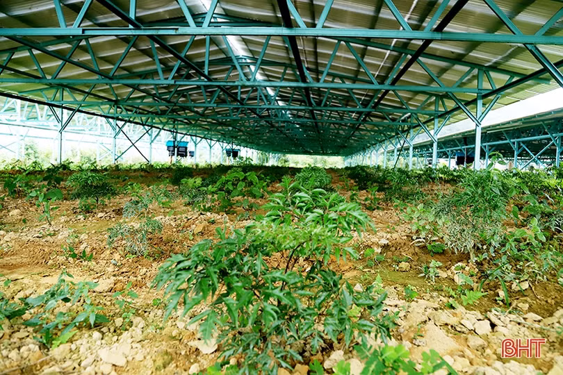 Khám phá trang trại” điện mặt trời nơi miền sơn cước Hà Tĩnh