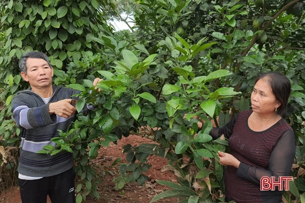 Cán bộ thôn tâm huyết, góp sức xây dựng Kỳ Thượng về đích nông thôn mới