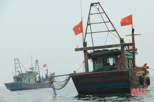 Bắt giữ 2 tàu giã cào Thanh Hóa, Nghệ An khai thác trái phép
