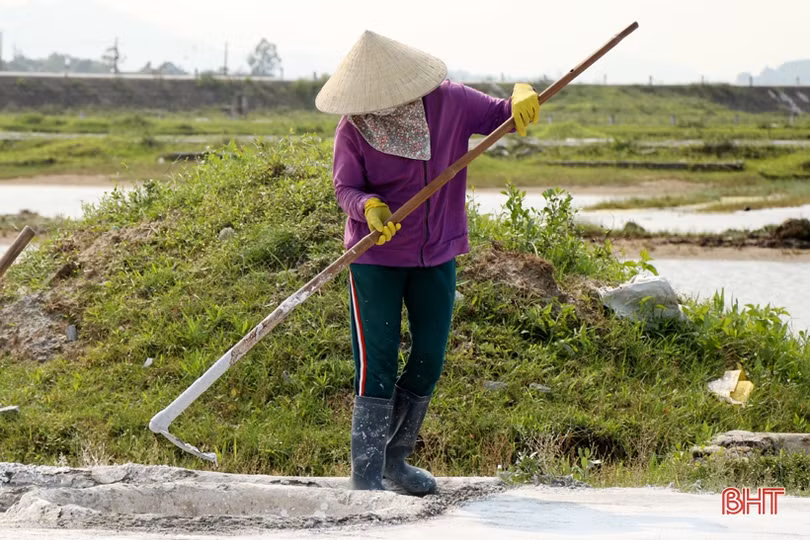 Vựa muối” thị xã Kỳ Anh vào vụ sản xuất mới