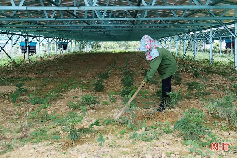 Khám phá trang trại” điện mặt trời nơi miền sơn cước Hà Tĩnh