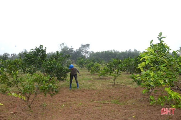 Cán bộ thôn tâm huyết, góp sức xây dựng Kỳ Thượng về đích nông thôn mới