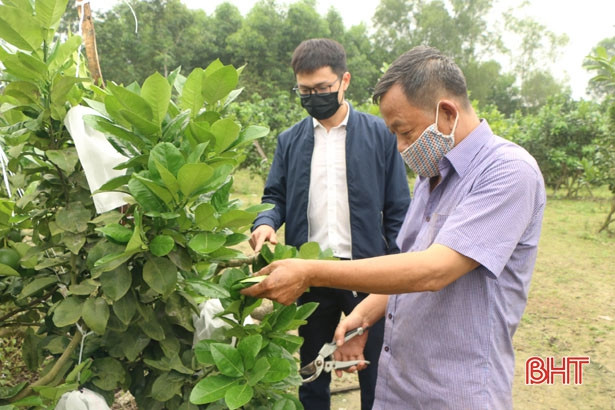 Ảnh hưởng dịch Covid-19, thị trường tín dụng ở Hà Tĩnh vẫn tăng trưởng 