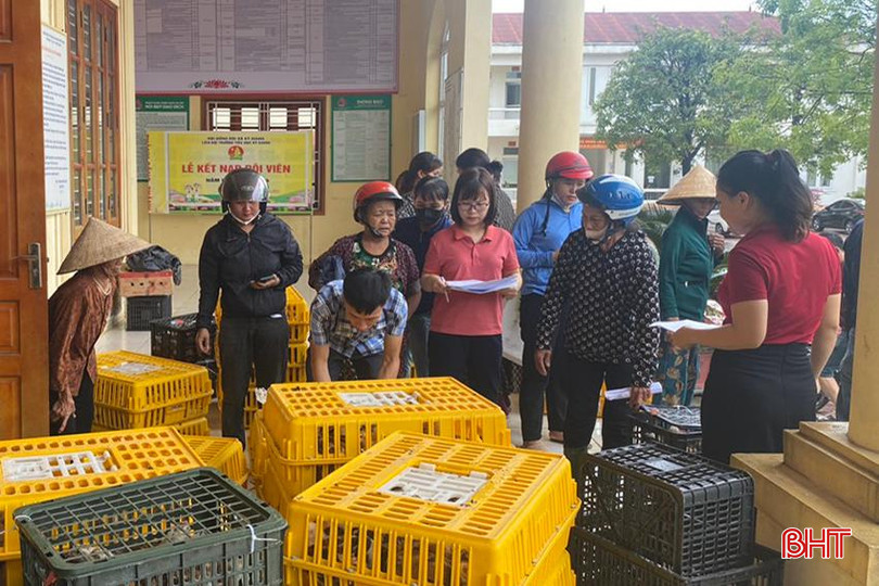 Xã Kỳ Giang tổ chức trao gà sinh kế cho hộ nghèo. A5.jpg