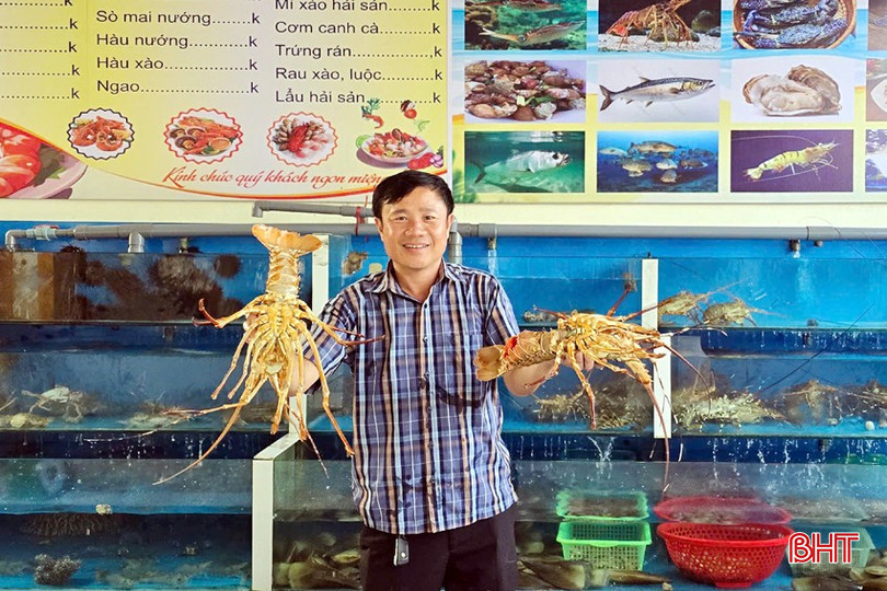 Tôm hùm tự nhiên nặng hơn 1kg/con... bqbht_br_22.jpg
