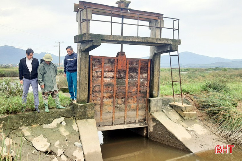 Hầu hết hệ thống cống ngăn mặn, giữ ngọt cho cánh đồng của xã Kỳ Khang trên sông Nhà Lê đều bị xuống cấp. bqbht_br_a1.jpg
