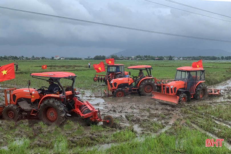 Cánh đồng thôn Nam Hải trong những ngày triển khai chuyển đổi ruộng đất. bqbht_br_a6.jpg