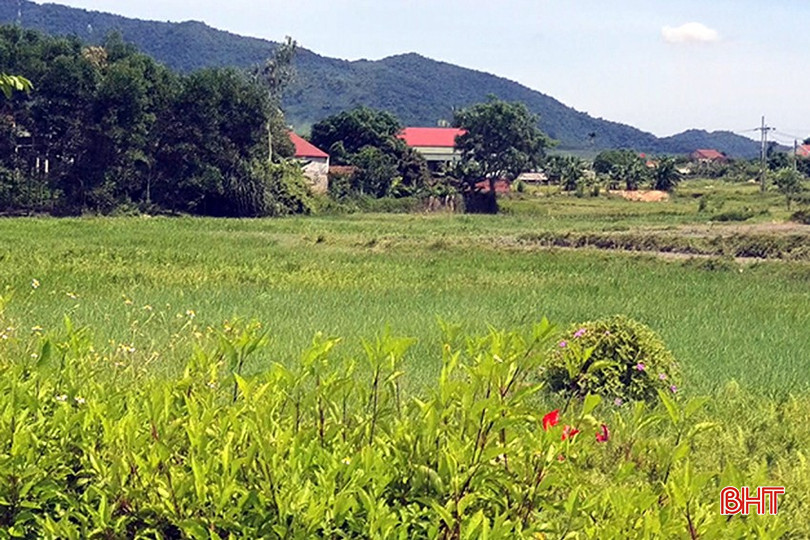 Lòng đập Chọ Má hiện chỉ còn là bãi đất hoang. bqbht_br_a4.jpg