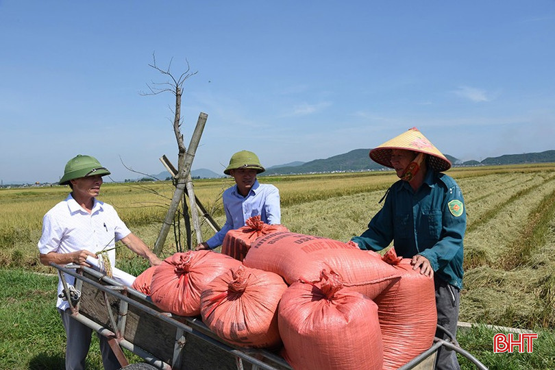 Người dân phấn khởi khi lúa hữu cơ vừa được mùa vừa được giá. bqbht_br_a4.jpg