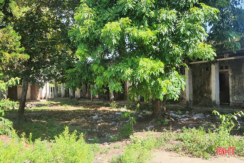 Hệ thống nhà cửa, hạ tầng tan hoang, chỉ có cây cối là xanh tốt. A6.jpg