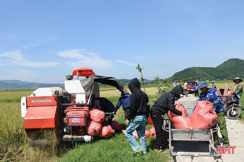 Sản xuất theo hướng hữu cơ, an toàn nên lúa ở Phú Minh có giá tốt, gặt đến đâu thương lái đến tại chân ruộng thu mua đến đó. image-1.jpg