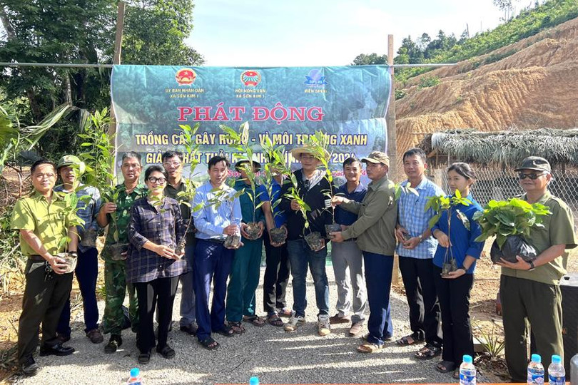 Viện Nghiên cứu Sinh thái chính sách xã hội (SPERI) trao tặng xã Sơn Kim 1, huyện Hương Sơn 150 cây mayen. z5672481412559_7ece16f0589f9cddff610ed58c53961c.jpg