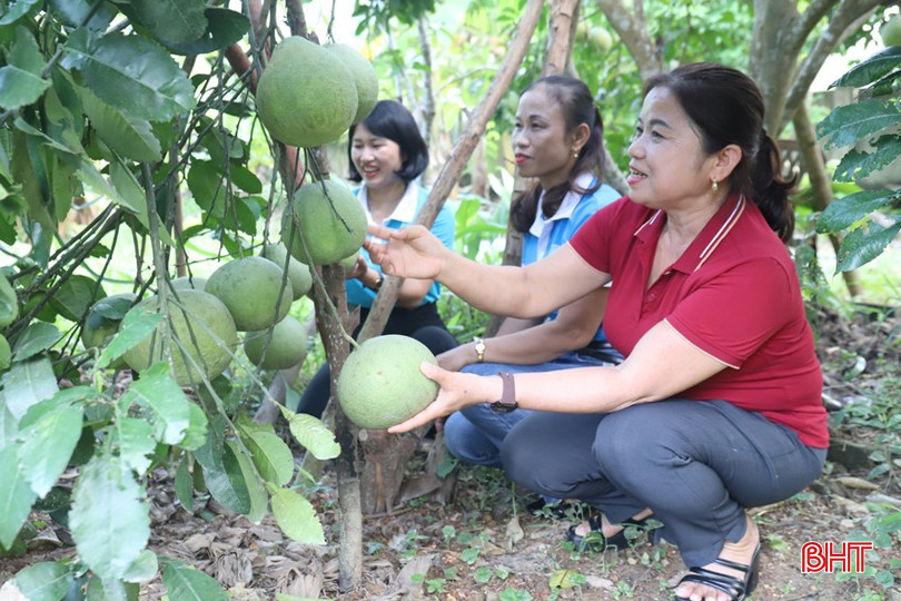 Chị Trần Thị Lệ Thủy (áo đỏ) bên cây bưởi Tân Lạc trĩu quả trong vườn nhà mình. img-4681-1347.jpg