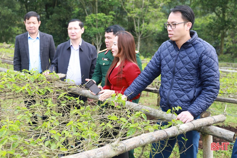 Sáng 20/3, lãnh đạo huyện Hương Sơn đi kiểm tra sản xuất và có buổi làm việc với xã Sơn Tiến về tiến độ xây dựng NTM nâng cao. Trong ảnh: Đoàn tham quan mô hình trồng cây hoa lý của hộ ông Võ Xuân Anh ở thôn Thiên Nhẫn. bqbht_br_img-4471.jpg