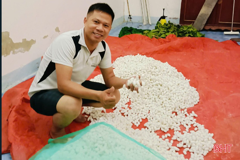 Phó Giám đốc HTX Cường Nga vui mừng vì sản phẩm kén thu được đạt hiệu quả cao. z5848763931189_2d739cfc10079032c81908655b8de926.jpg