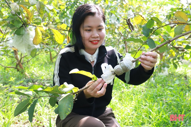 Lãnh đạo Hội Nông dân xã Sơn Bằng thường xuyên kiểm tra, động viên gia đình chị Nhung phát triển mô hình. bqbht_br_img-5599.jpg