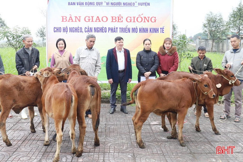 Trao mô hình sinh kế bò sinh sản cho hộ nghèo, cận nghèo tại xã Sơn Trà. bqbht_br_img-9880.jpg