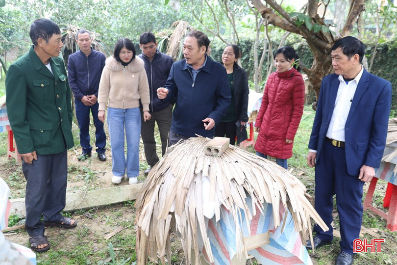 Phó Giám đốc Trung tâm Giáo dục nghề nghiệp - Giáo dục thường xuyên Nguyễn Công Lam (ở giữa) hướng dẫn học viên lớp học nghề nuôi ong ngắn hạn tại thôn Giếng Thị, xã An Hòa Thịnh. bqbht_br_img-0082.jpg