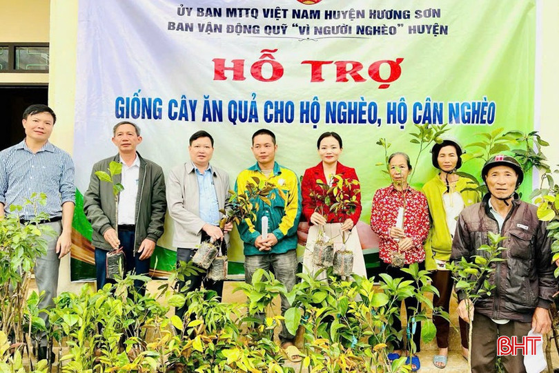 Ủy ban MTTQ huyện Hương Sơn hỗ trợ hàng trăm cây giống các loại cho những hộ có hoàn cảnh khó khăn xã Sơn Tiến (tháng 6/2024). z5911390213727-4111485aa103f6c3ecbf2cce2e4e240c-1364-4973.jpg