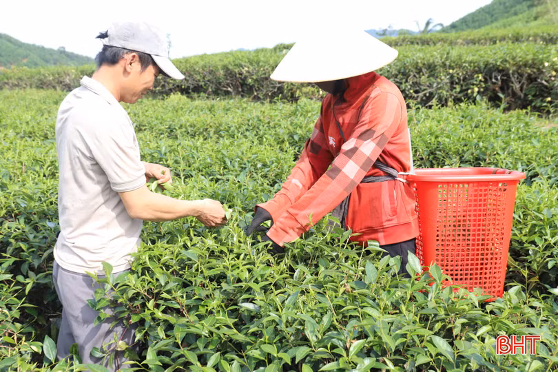 Nhờ trợ lực từ các chương trình giảm nghèo, vợ chồng anh Nguyễn Tiến Dũng và Nguyễn Thị Trà (thôn Thượng Kim) đã có nguồn vốn đầu tư sản xuất, vươn lên xây dựng cuộc sống ổn định.
