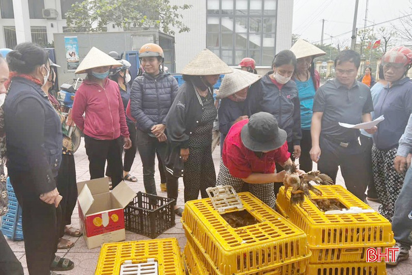 Sau khi học nghề xong, những hộ gia đình ở xã Sơn Trung được hỗ trợ mô hình gà để cải thiện cuộc sống bqbht_br_z6011286275157-f3c2b0c570956663bd198d0fdc595c78.jpg