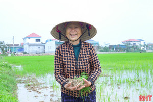 Nông dân Hà Tĩnh hồ hởi sản xuất đầu xuân mới