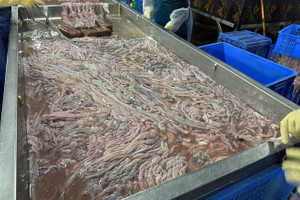 Hơn 60 tấn lòng lợn cấp đông nửa năm, bốc mùi sắp tuồn ra thị trường