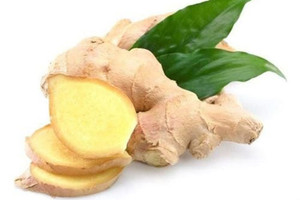 Ăn gừng tươi có tác dụng gì?