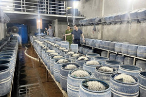 Hai cơ sở dùng hóa chất độc hại sản xuất hàng trăm tấn giá đỗ