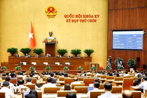 Quốc hội thống nhất rút ngắn thời gian thực hiện quy trình bầu cử