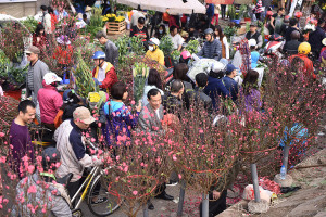 Chốt phương án nghỉ Tết Dương lịch 