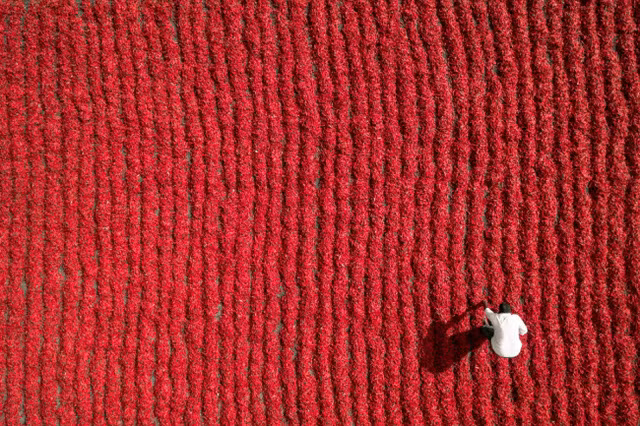 nhung buc anh chup bang flycam dep nhat 2016