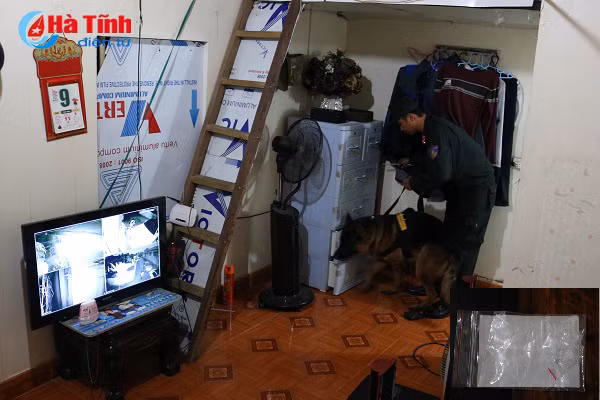 pha 2 tu diem ma tuy bat nhieu doi tuong com can cung hang nong