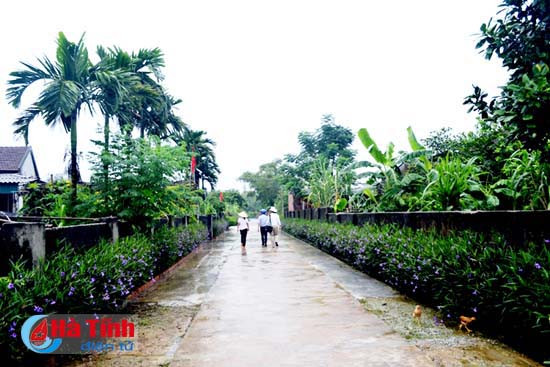 di tren nhung vung que dang song