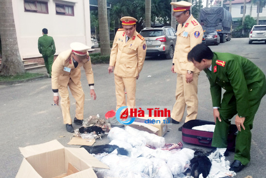 phat hien nhieu ca the vooc go lau tren xe khach va xe tai