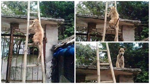 10 anh hai hot nhat facebook trong ngay