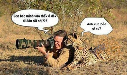 10 anh hai hot nhat facebook trong ngay