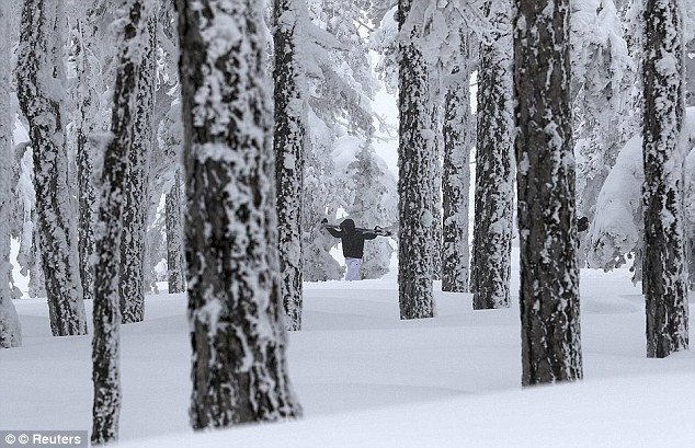 nhung dia danh von nong hung huc lai xuat hien tuyet roi