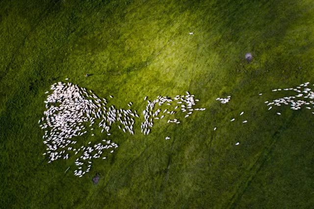 nhung buc anh chup bang flycam dep nhat 2016