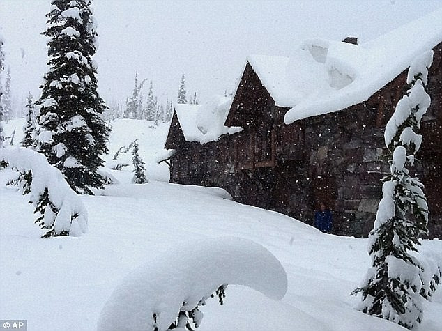 nhung dia danh von nong hung huc lai xuat hien tuyet roi