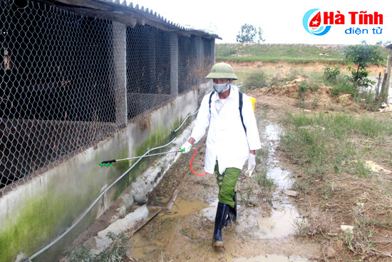 cam xuyen het dich tai xanh tren dan lon